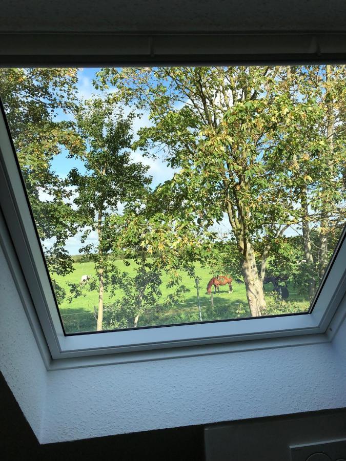 Ferienhaus Maja Am See 아우리흐 외부 사진